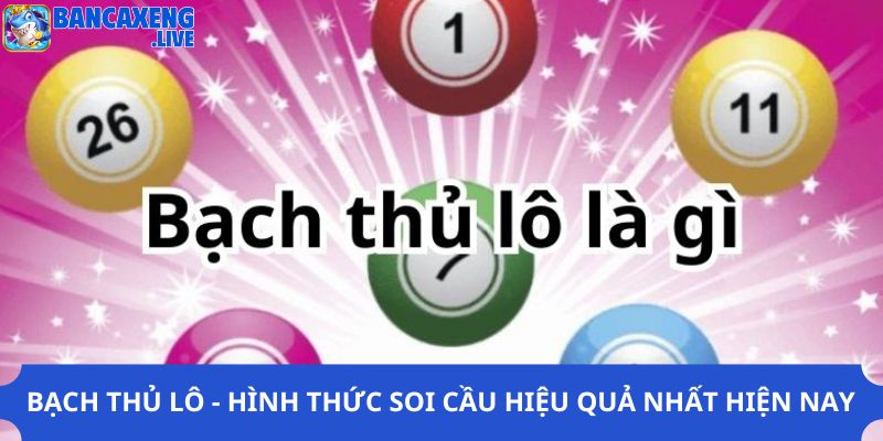 Bạch Thủ Lô - Hình Thức Soi Cầu Hiệu Quả Nhất Hiện Nay