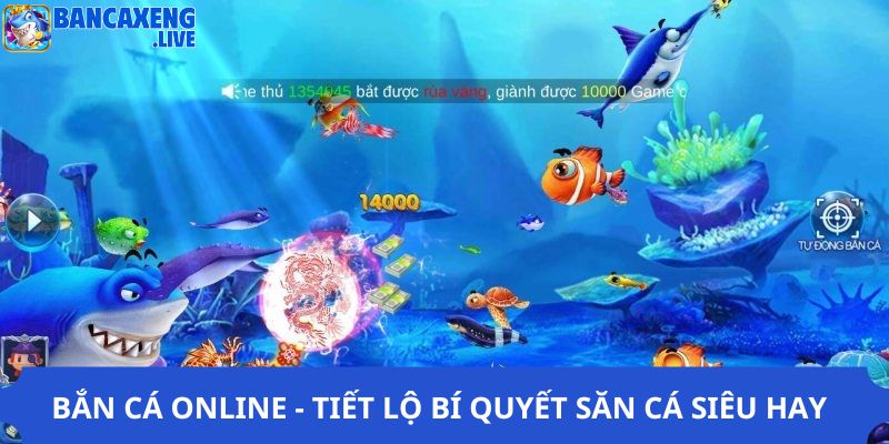 Bắn Cá Online - Tiết Lộ Bí Quyết Săn Cá Siêu Hay Của Cao Thủ