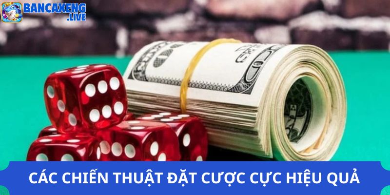 Các chiến thuật đặt cược cực hiệu quả