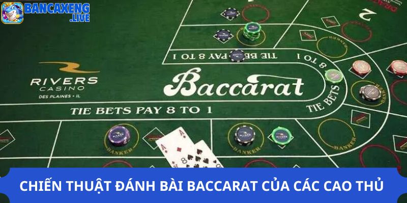 Chiến thuật đánh bài Baccarat của các cao thủ 