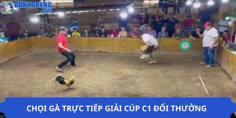 Chọi gà trực tiếp giải cúp C1 đổi thưởng