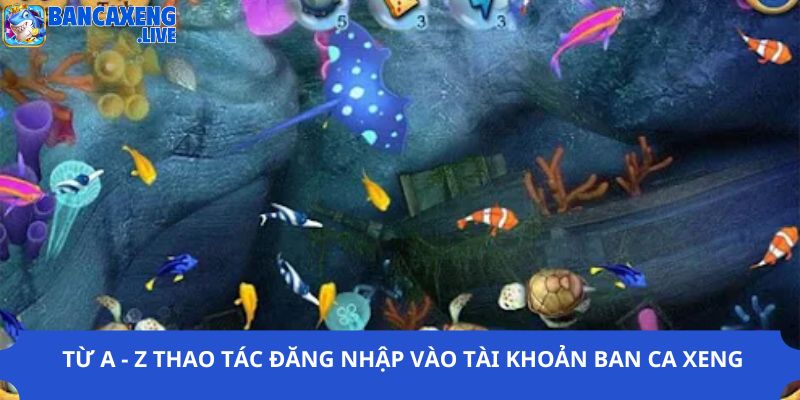 Từ A - Z Thao Tác Đăng Nhập Vào Tài Khoản BAN CA XENG