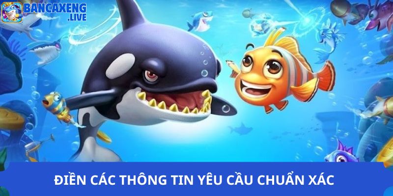 Điền các thông tin yêu cầu chuẩn xác