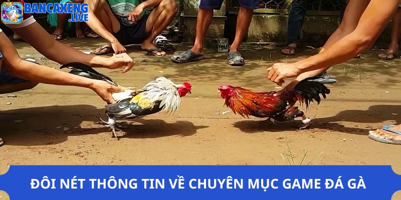 Đôi nét thông tin về chuyên mục game đá gà