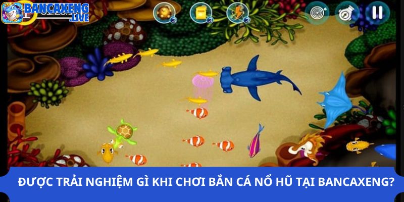 Được trải nghiệm gì khi chơi bắn cá nổ hũ tại Ban ca xeng?