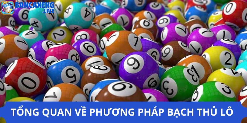 Tổng quan về phương pháp bạch thủ lô