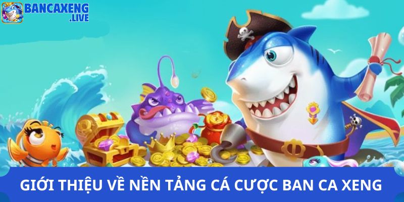 Giới thiệu về nền tảng cá cược Ban ca xeng