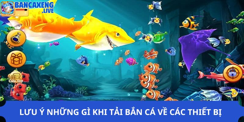 Lưu ý những gì khi tải bắn cá về các thiết bị