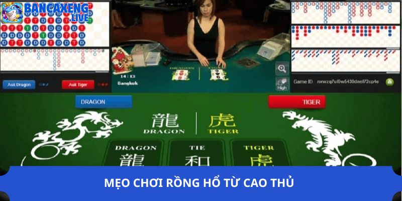 Mẹo chơi Rồng Hổ từ cao thủ