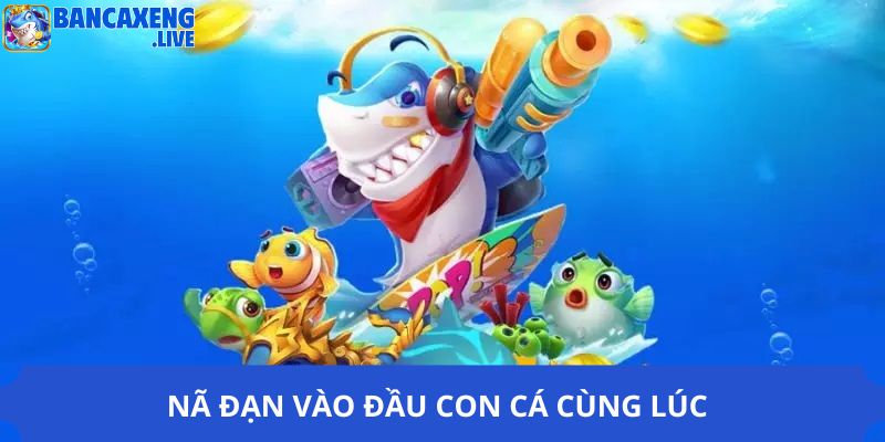 Nã đạn vào đầu con cá cùng lúc