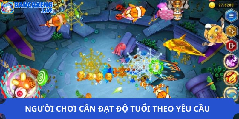 Người chơi cần đạt độ tuổi theo yêu cầu