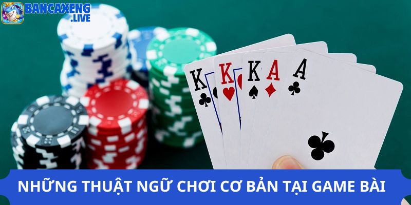 Những thuật ngữ cơ bản