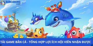 Tải Game Bắn Cá - Tổng Hợp Các Lợi Ích Hội Viên Nhận Được