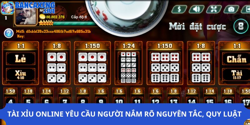 Tài xỉu online yêu cầu người nắm rõ nguyên tắc, quy luật