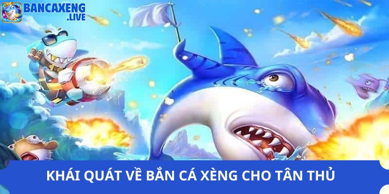 Thông tin quan trọng về siêu phẩm bắn cá xèng