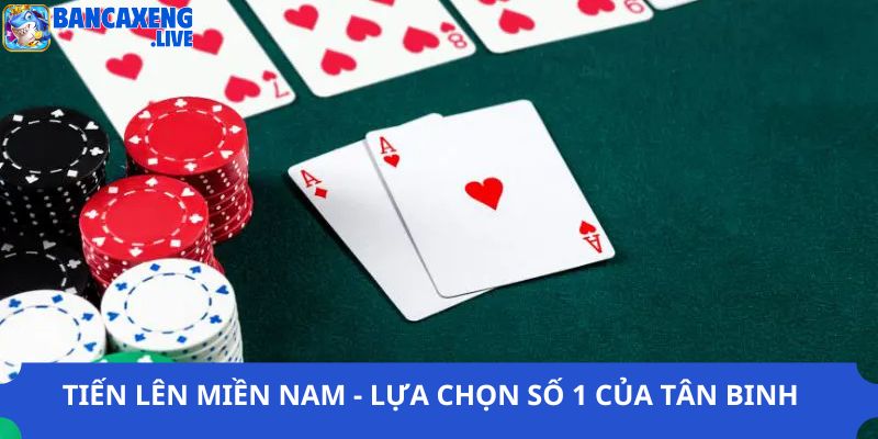 Tiến Lên Miền Nam - Lựa Chọn Số 1 Của Các Tân Binh Mới Chơi