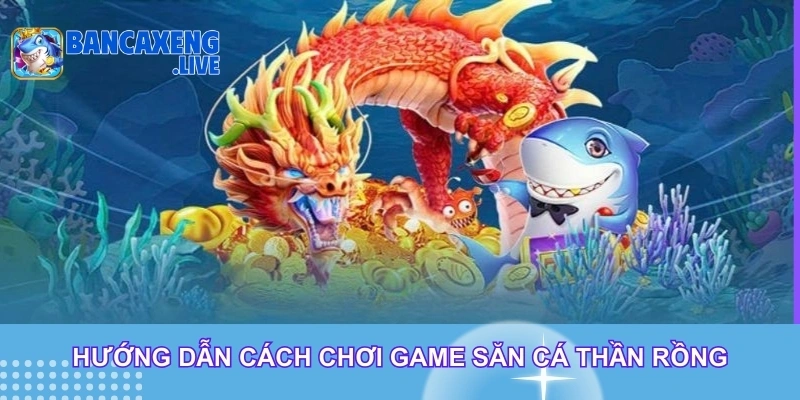 Hướng dẫn cách chơi game săn cá thần rồng Hướng dẫn cách chơi game săn cá thần rồng